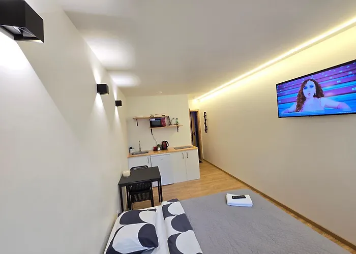 T2 Studio Apartment